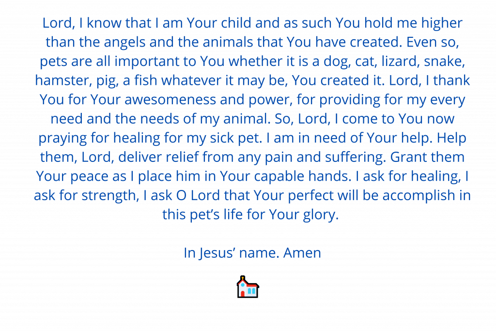 Prayer for sick dog 1