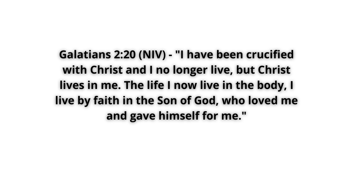How Many Books Of The Bible Did Paul Write